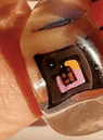 Y2K Fun Lucite Ring - Fashion Bop
